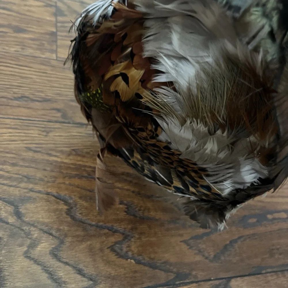 Vintage Art Deco MCM  Pheasant Feather Cap Valerie Modes EC OSFA Millinery Hat